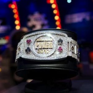 Post image for Final Table Decided in WSOP Main Event