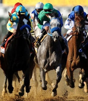 Post image for 2013 Preakness Stakes Winner is Oxbow