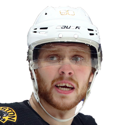 David Pastrnak