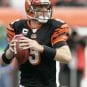 Carson Palmer Cincinnati Bengals
