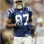 Reggie Wayne