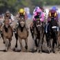 Belmont Stakes winner