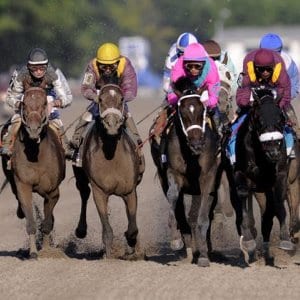 Belmont Stakes winner