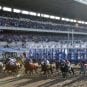 Belmont Stakes