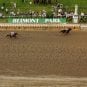 Belmont Stakes odds and post positions