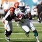 bengals dolphins