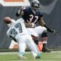 bears dolphins