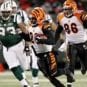 bengals jets