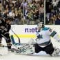 sharks stars