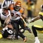 steelers bengals
