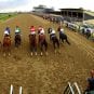 2011 Preakness Stakes Winner