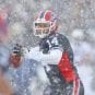 BuffaloBillsRyanFitzpatrick