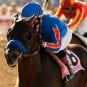 Breeders Cup 2012 Winner