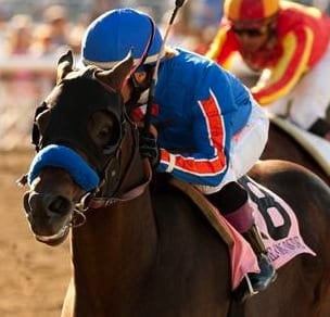 Breeders Cup 2012 Winner