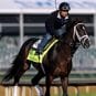 Orb-Kentucky-Derby