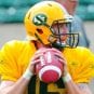 matt-nichols-eskimos