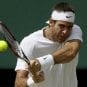Wimbledon-Juan-Martin-Del-Potro