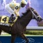 uncaptured-prince-of-wales-stakes