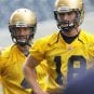 Winnipeg Blue Bombers