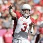 carson-palmer-cardinals