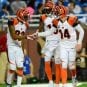 cincinnati-bengals-oct-2013