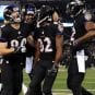 baltimore-ravens-dec-2013