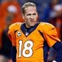 Defying The Odds: Bet Against Your Favorite NFL Team?...