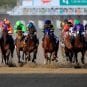 derby-field