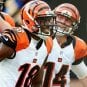 AJ Green Andy Dalton