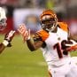 2015-nfl-week-11-bengals-cardinals-prediction
