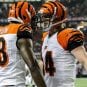 Cincinnati Bengals