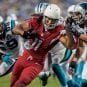 2015-nfl-nfc-championship-cardinals-panthers-betting-odds