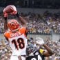 2015-nfl-wild-card-steelers-bengals-schedule (1)