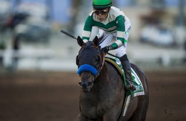 Mor Spirit kentucky derby 2016