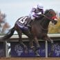 Nyquist kentucky derby 2016
