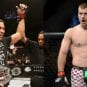 Stipe-Werdum