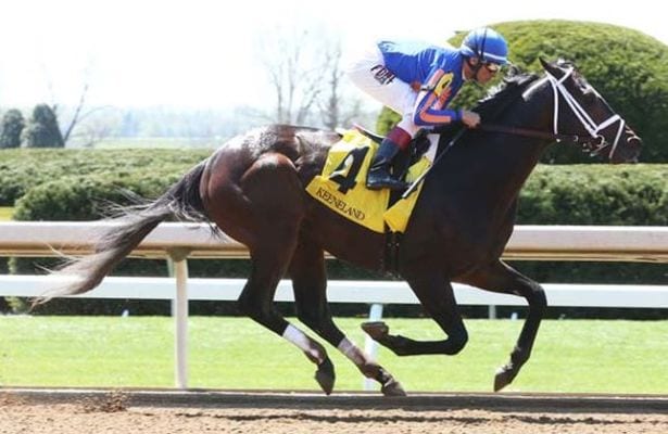 Stradivari preakness stakes 2016