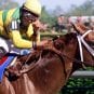 charismatic kentucky derby long shot winner