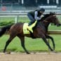 belmont stakes exaggerator