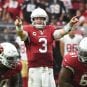carson palmer