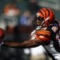NFL: Buffalo Bills at Cincinnati Bengals