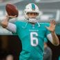 jay cutler dolphins