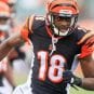 A.J. Green