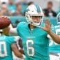 jay-cutler-dolphins