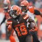 browns bengals