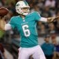 cutler-si
