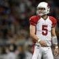 drew stanton cardinals