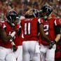 falcons