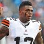 josh gordon