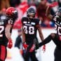 stampeders cfl playoffs